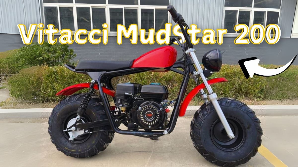 Vitacci MudStar 200 196cc single-cylinder engine